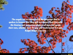 The-angels-are-so-enamored-Ralph-Waldo-Emerson-quote